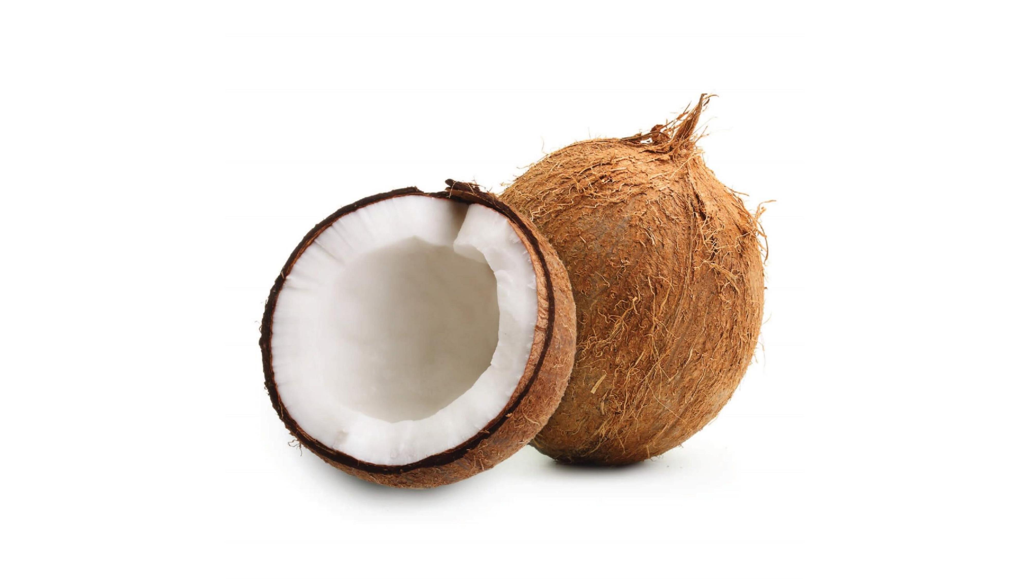 Coconut